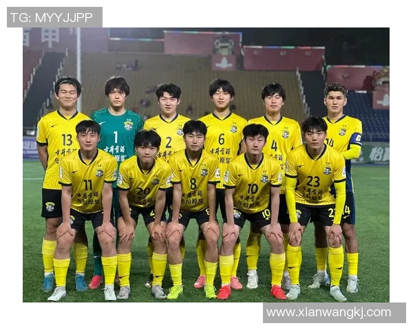 因病退役的足球明星们的传奇人生与不屈精神探讨