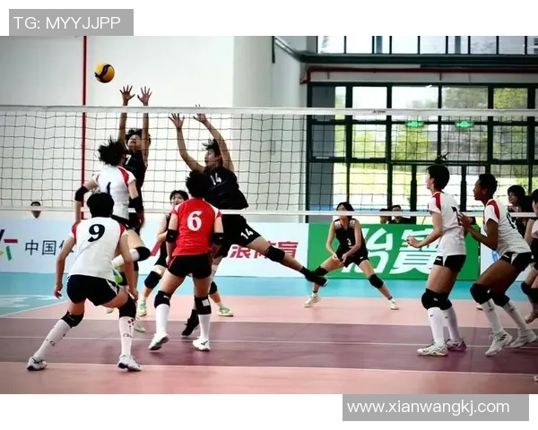 武汉排球队的奋斗与荣耀:一部排球精神的真实纪实之旅 武汉排球队的奋斗与荣耀:一部排球精神的真实纪实之旅