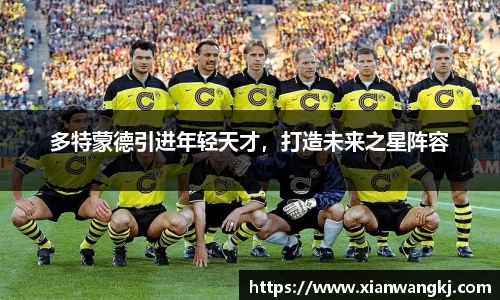 多特蒙德引进年轻天才，打造未来之星阵容
