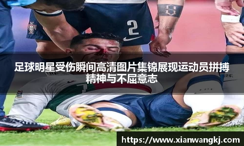 emc易倍体育官方网站